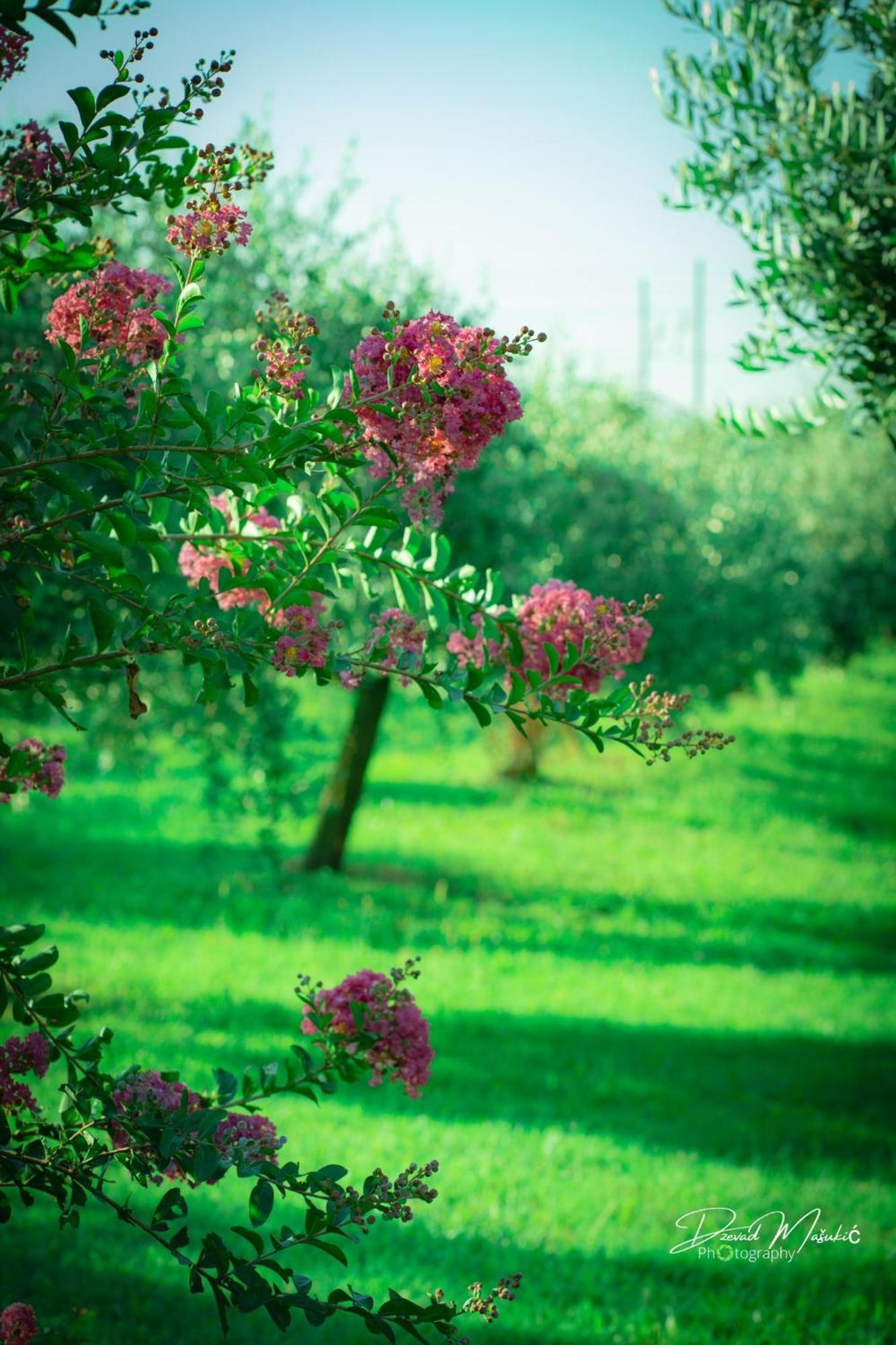 Agriturismo Olistella Villa Palazzolo dello Stella Buitenkant foto